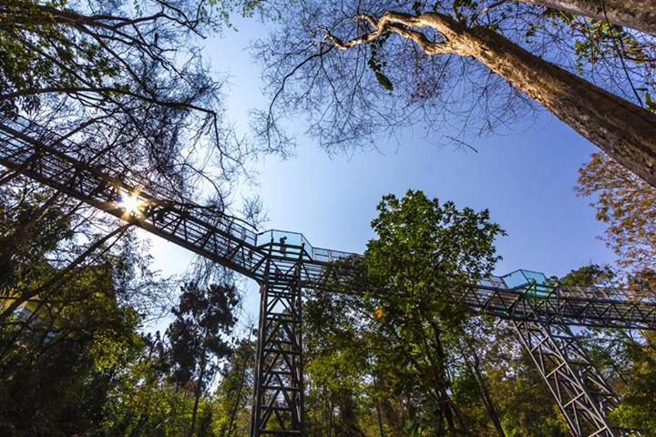 Chiang Mai Safari & Padong Longneck