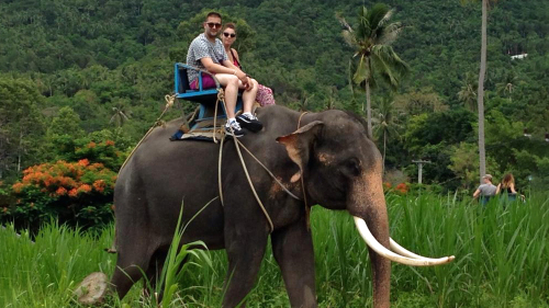 Samui ECO Tour