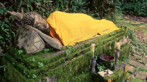 Doi Tung & Royal Villa Half-Day Tour - 13.30pm