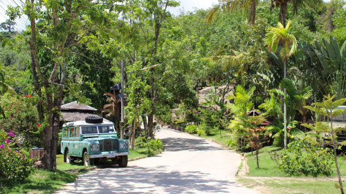 Island Safari Program D 9 IN 1 PM