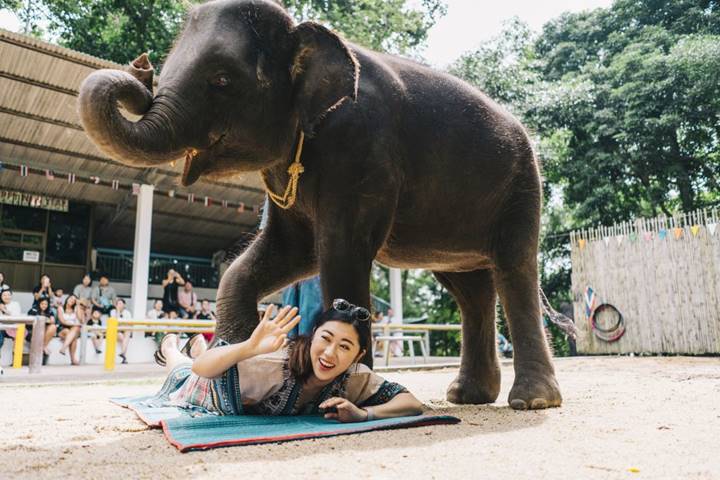 Samui ECO Tour