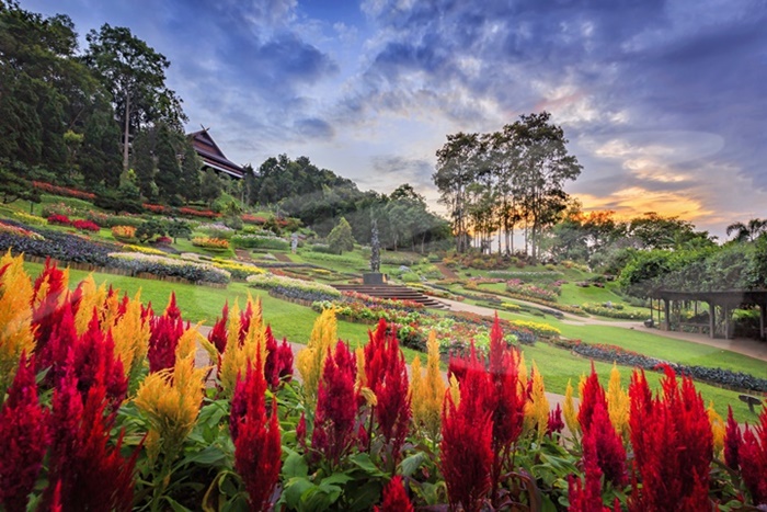 Doi Tung & Royal Villa Half-Day Tour - 13.30pm