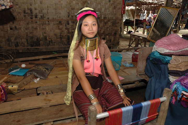 Doi Mae Salong Mountain & Padong Long-Neck Hill Tribe Tour