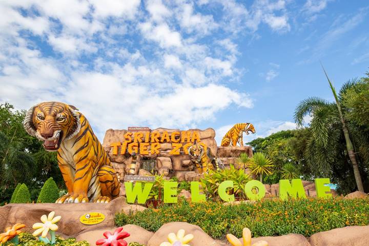 Tiger Zoo Park AM