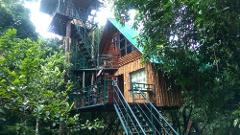 2D/1N Khao Sok Safari At Treehouse