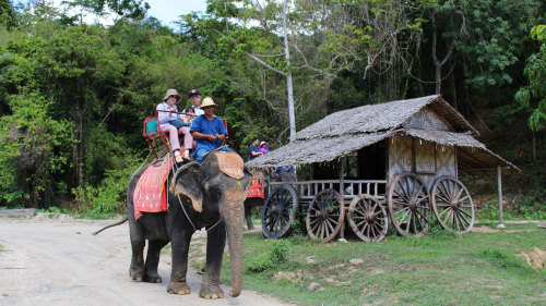 Island Safari Program A 3 IN 1 AM