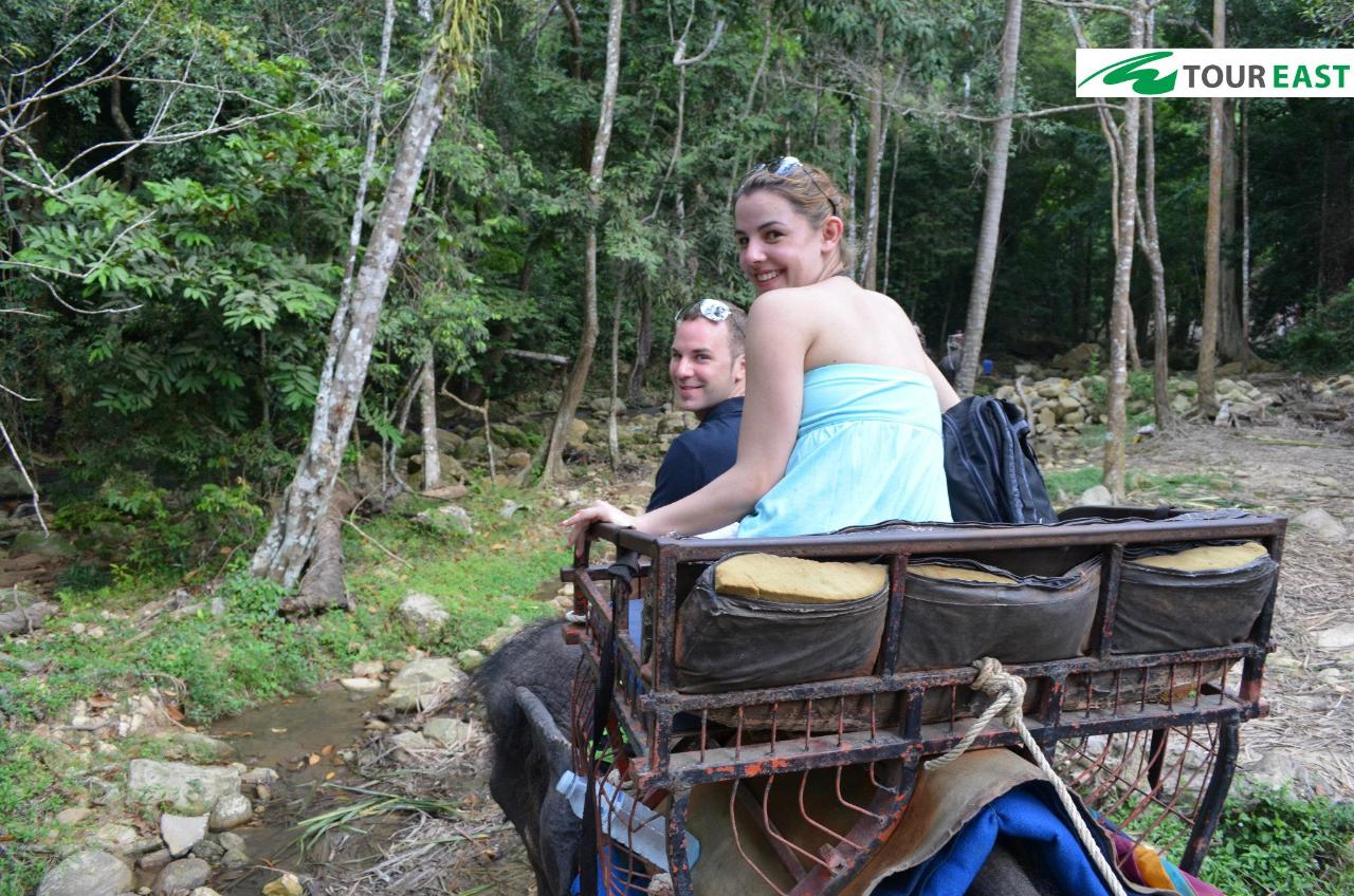 Jungle Tour With 4 Wheel Drive Jeeps