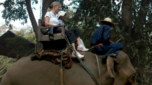 Chiang Mai Safari & Padong Longneck