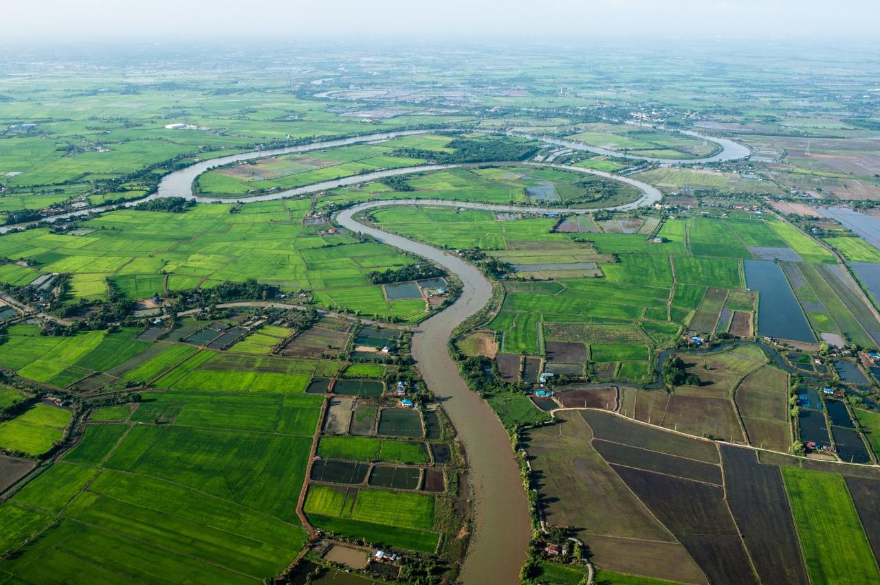 Chachoengsao Day trip with Market and River Cruise including Lunch