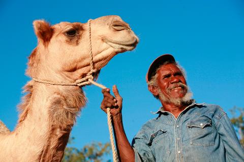 Camel Trek (2.5 Hours)