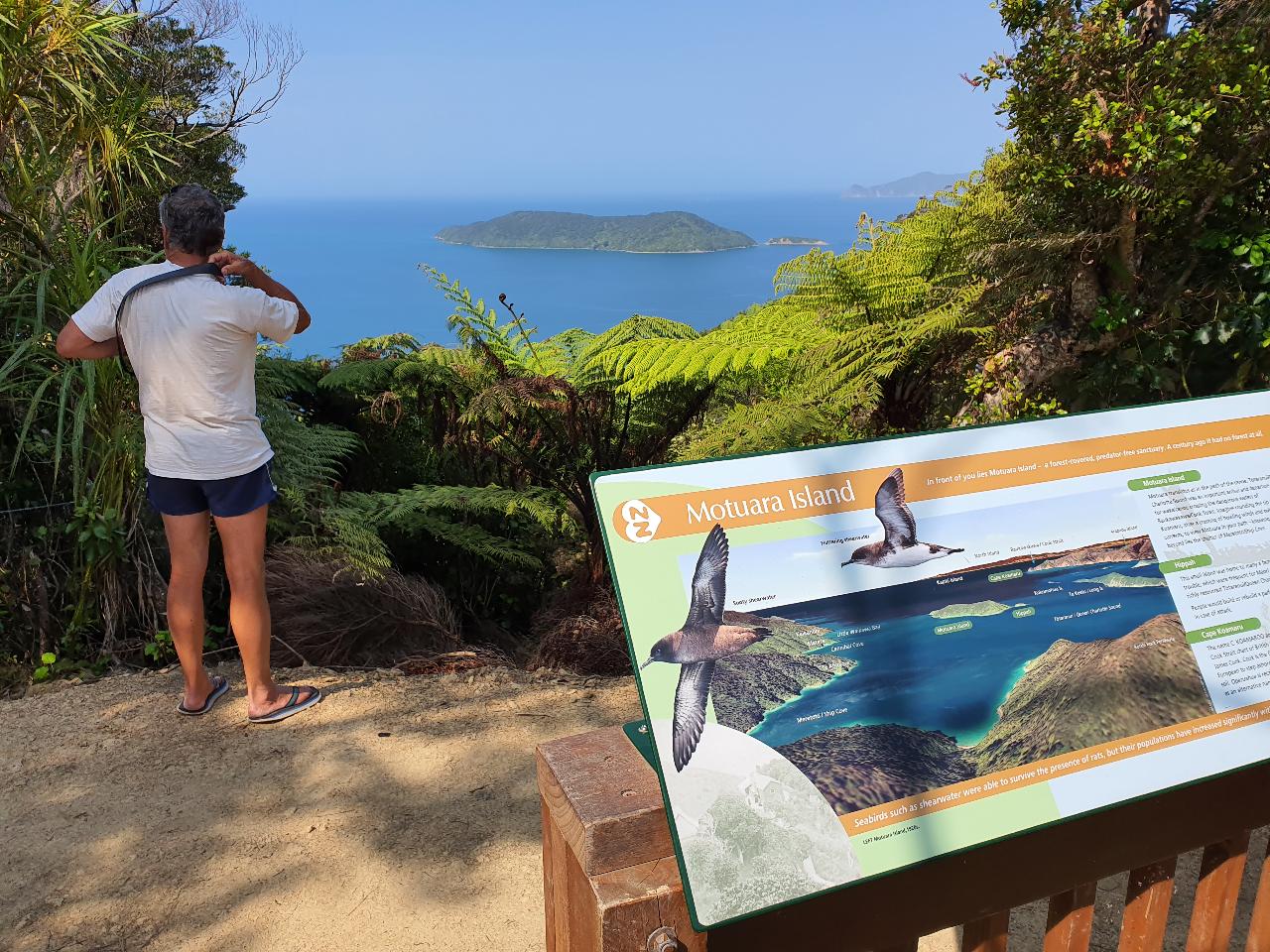 Queen Charlotte Track – Captain Cooks Guided 1 Day Walk