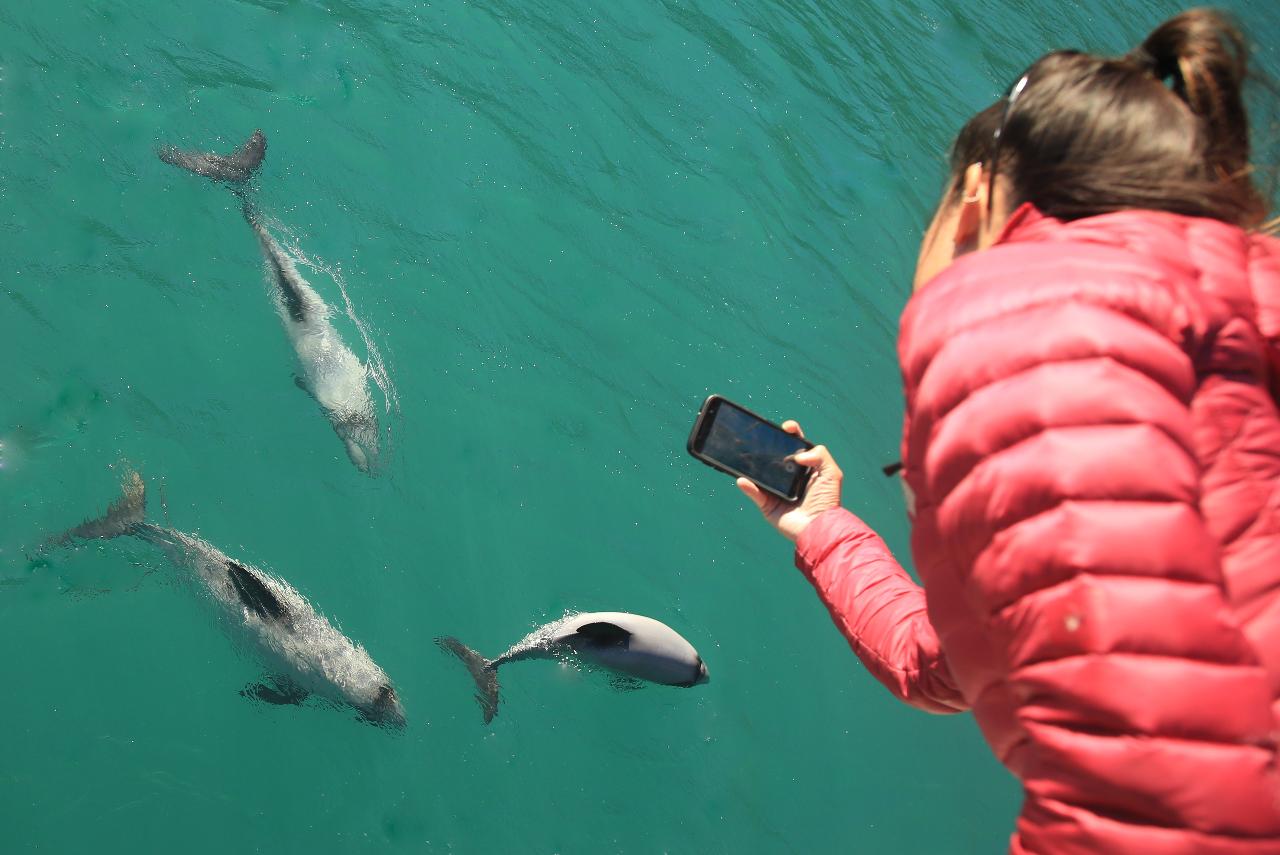 Gift of Wildlife Experience