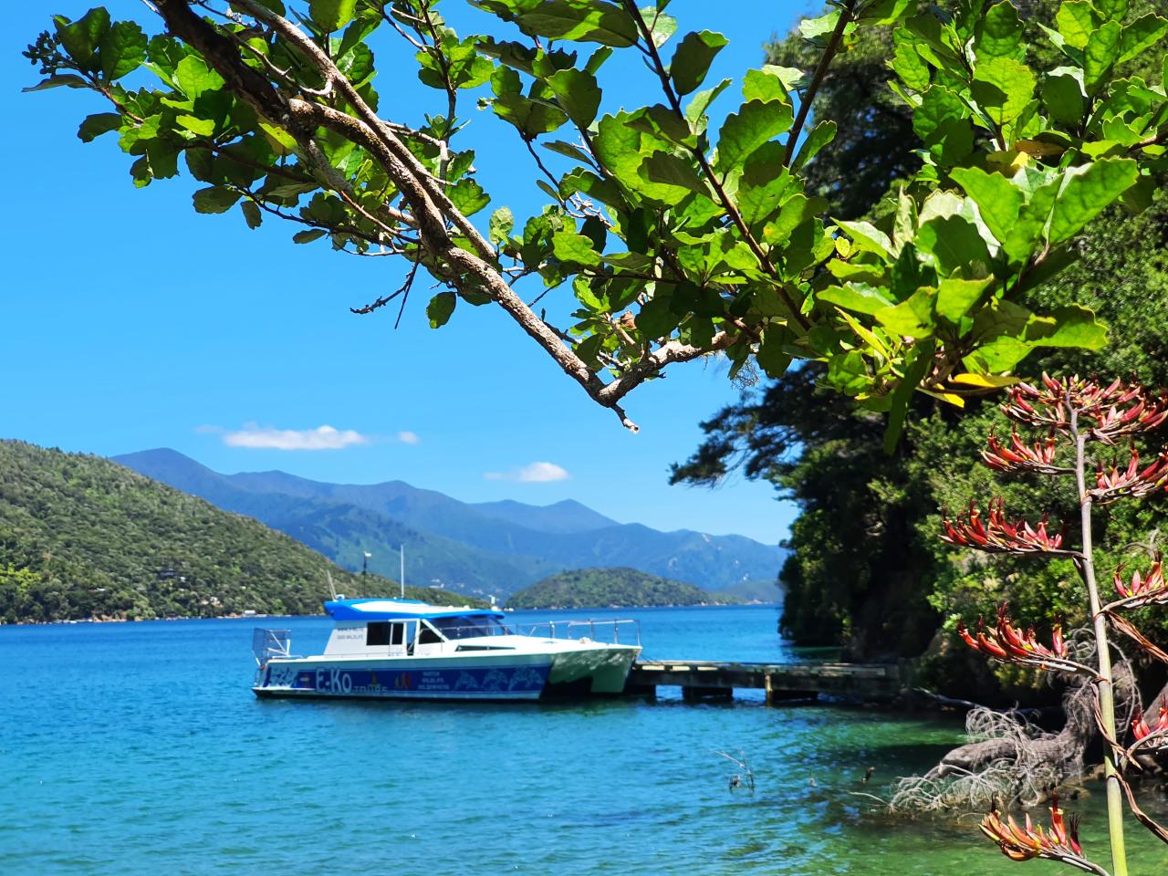 Wildlife , Beach and Wine Cruise 