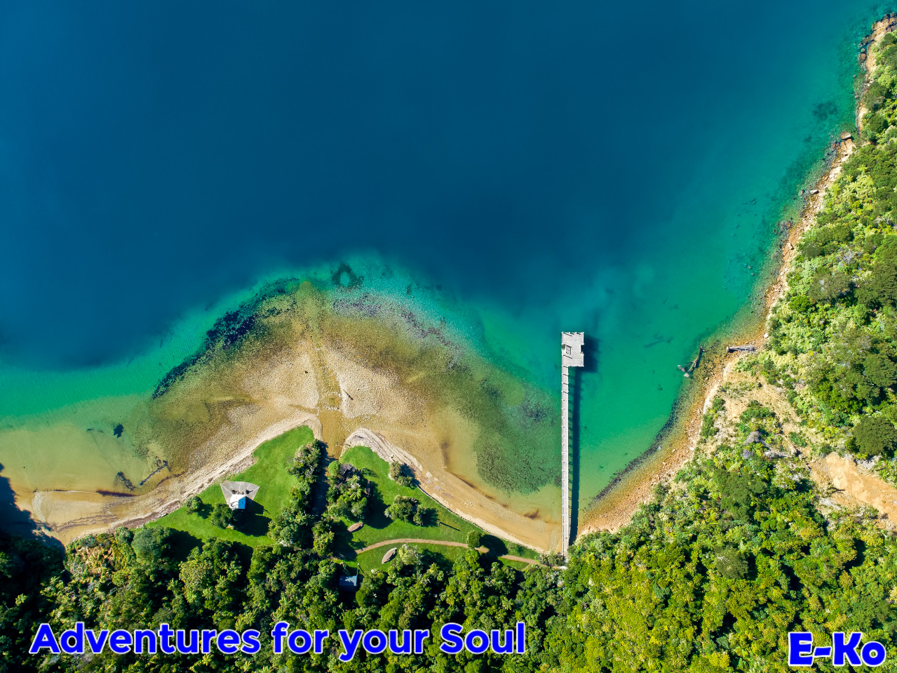 Ultimate Cruise + Queen Charlotte Track Full Day 