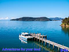 Educational 4 Hour Captain Cook Cruise