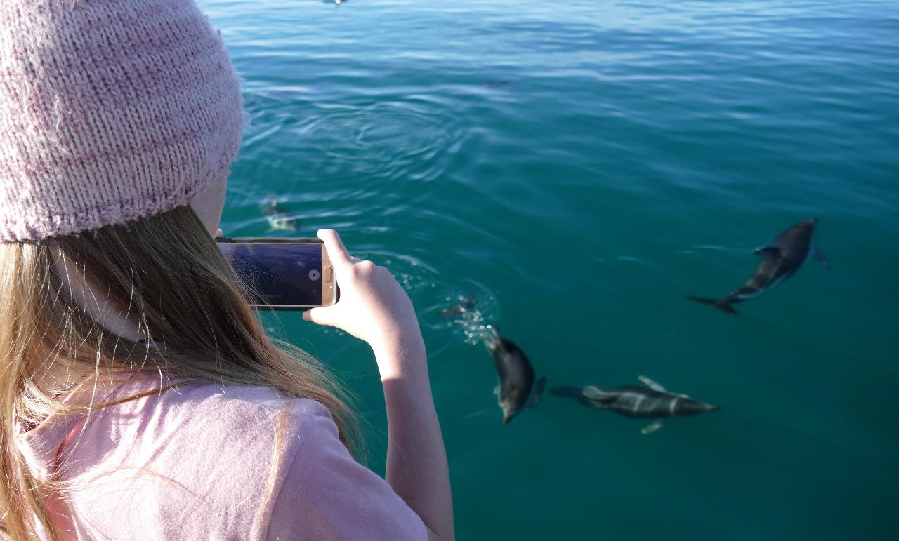 Wildlife Cruise  - KIDS Go Free (School Holidays Only) 