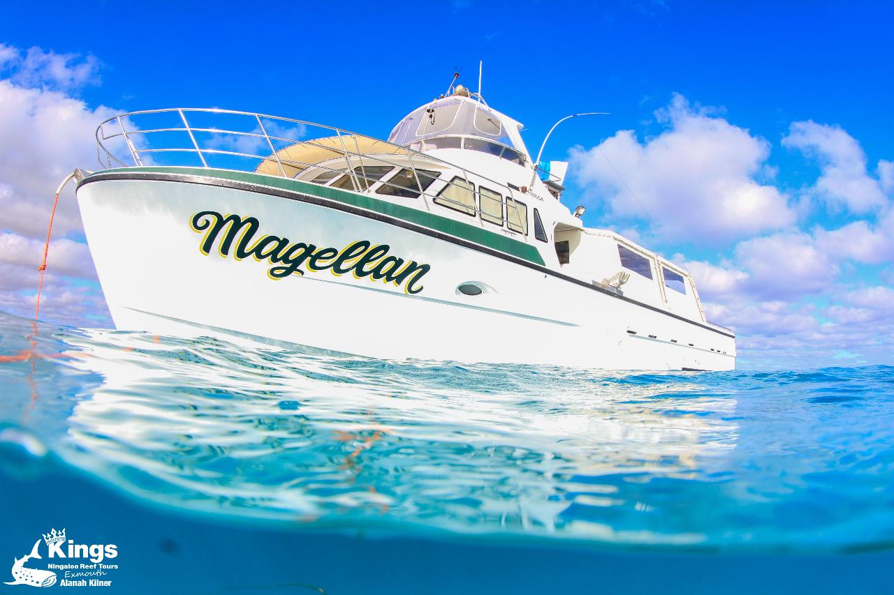 Exclusive Charter - Magellan 
