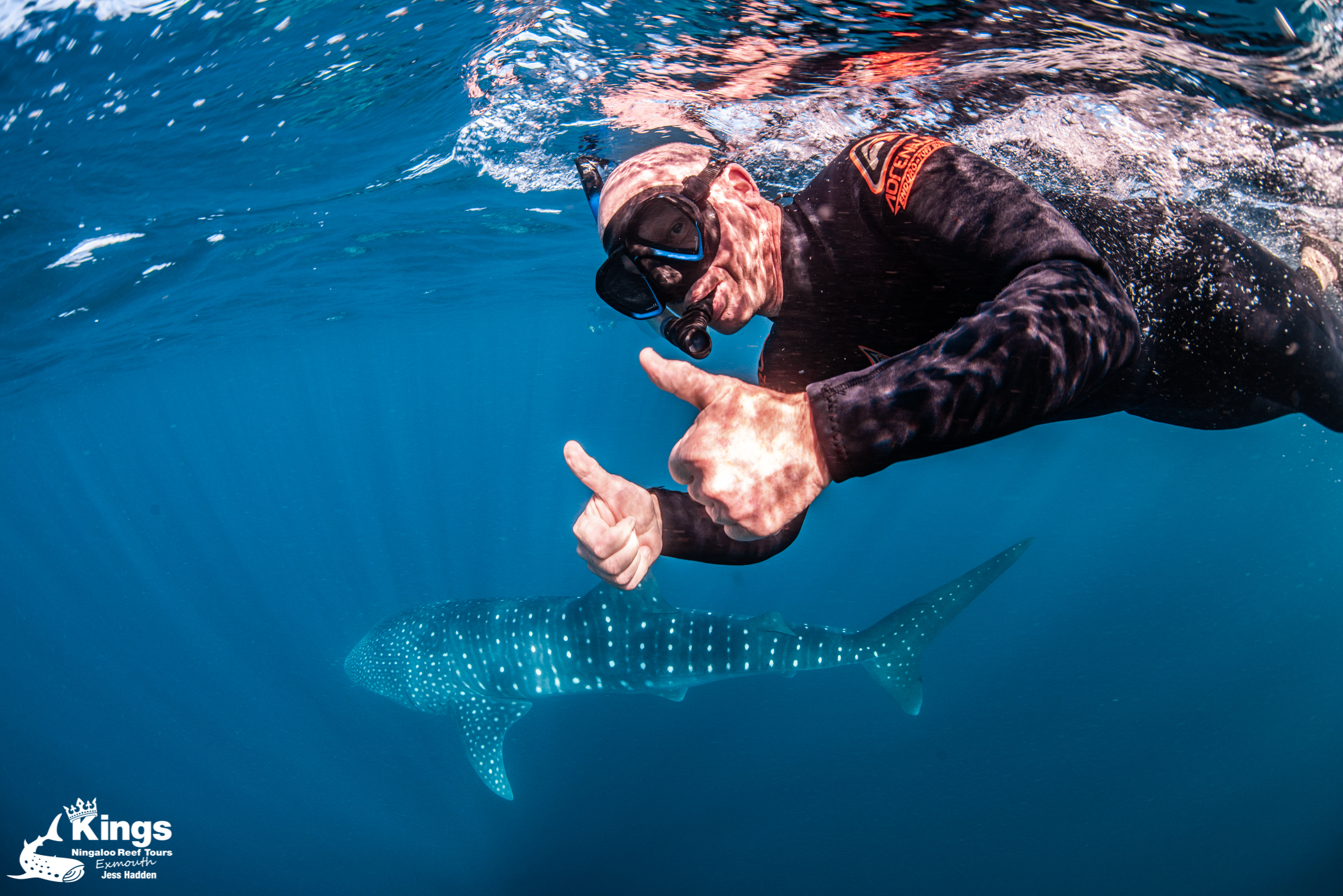 2023 Whale Shark Snorkelling Adventure Tour (APR-JUL)