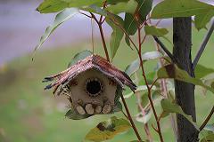 Nature Birdhouses