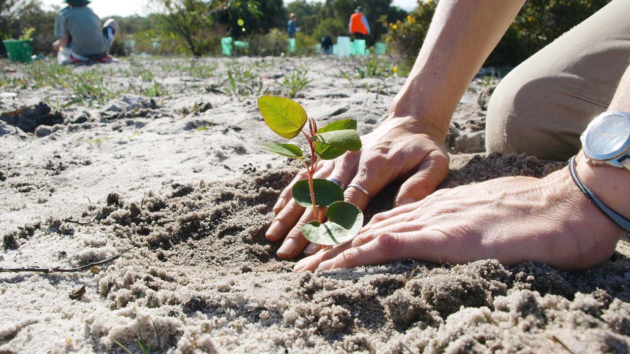 tree-day-planting-whiteman-park-reservations