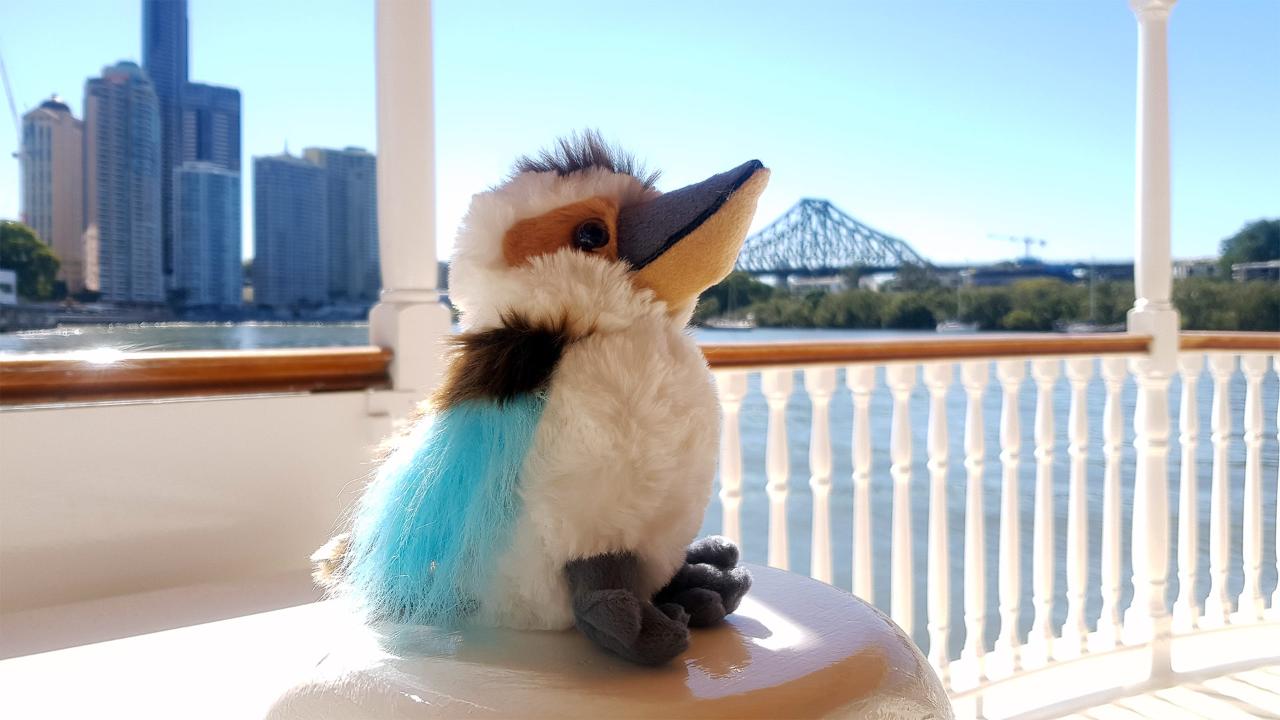Kookaburra Toy