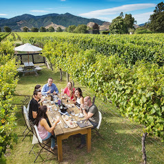 Hop n Grape Tours: Picton Wine & Scenic Adventure: VIP Cruise Excursion — Marlborough - Photo 1