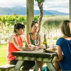 Hop n Grape Tours: Picton Wine & Scenic Adventure: VIP Cruise Excursion — Marlborough - Photo 2