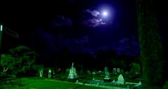 GOLD COAST Mysteries of Southport Cemetery Night Tour
