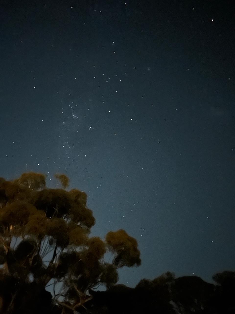 BACCHUS MARSH: Eynesbury Homestead Dinner and Ghost Tour VICTORIA - BT ...