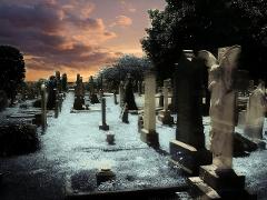 Southport Cemetery Paranormal Activity Tour QUEENSLAND