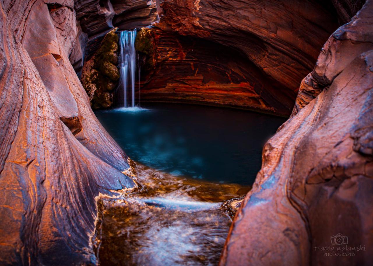 Hamersley Gorge & Spa Pool - Half Day Tour