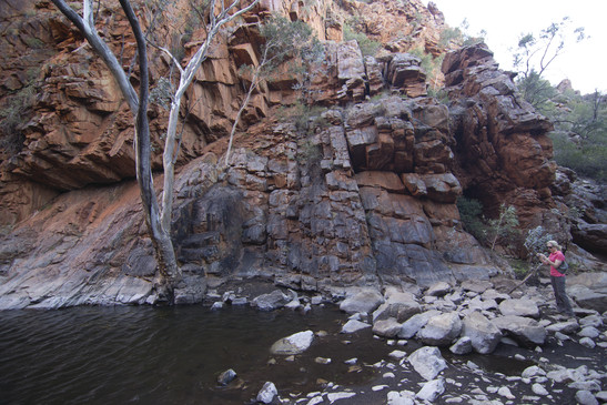 Group Booking 5 Day Larapinta Walk