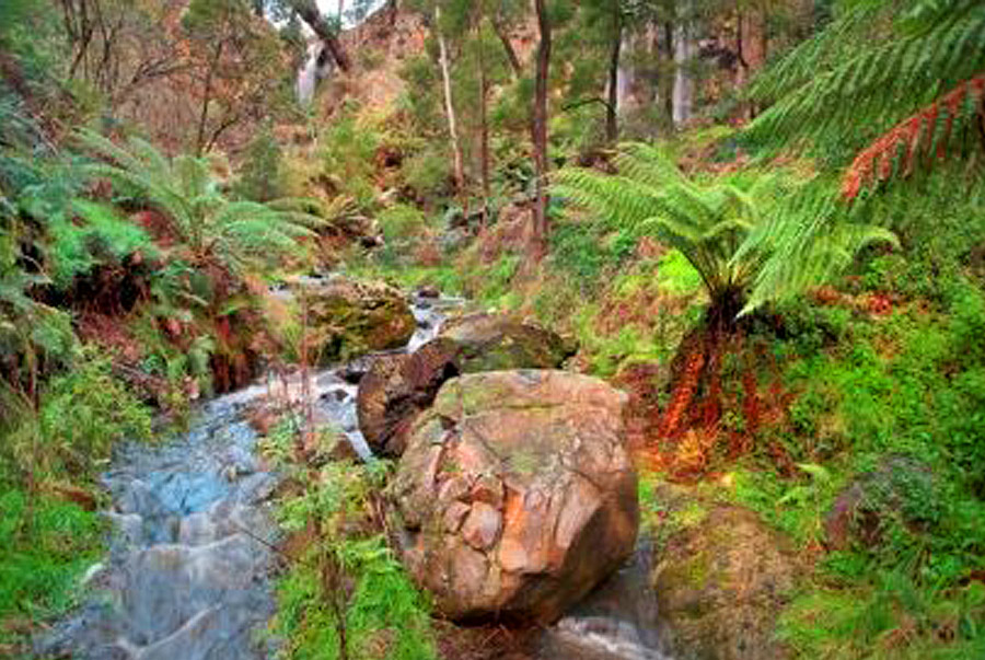 Group 3 Day Goldfields Track walk