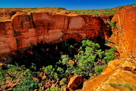 9 Day Larapinta & Red Centre