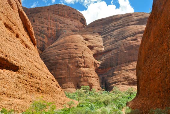 Red Centre 5 day Walk