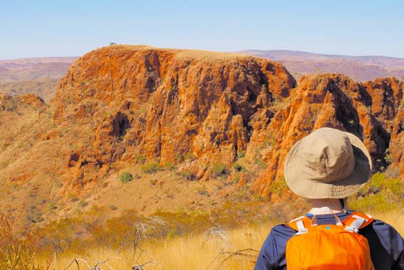 7 Day East Macs & Larapinta