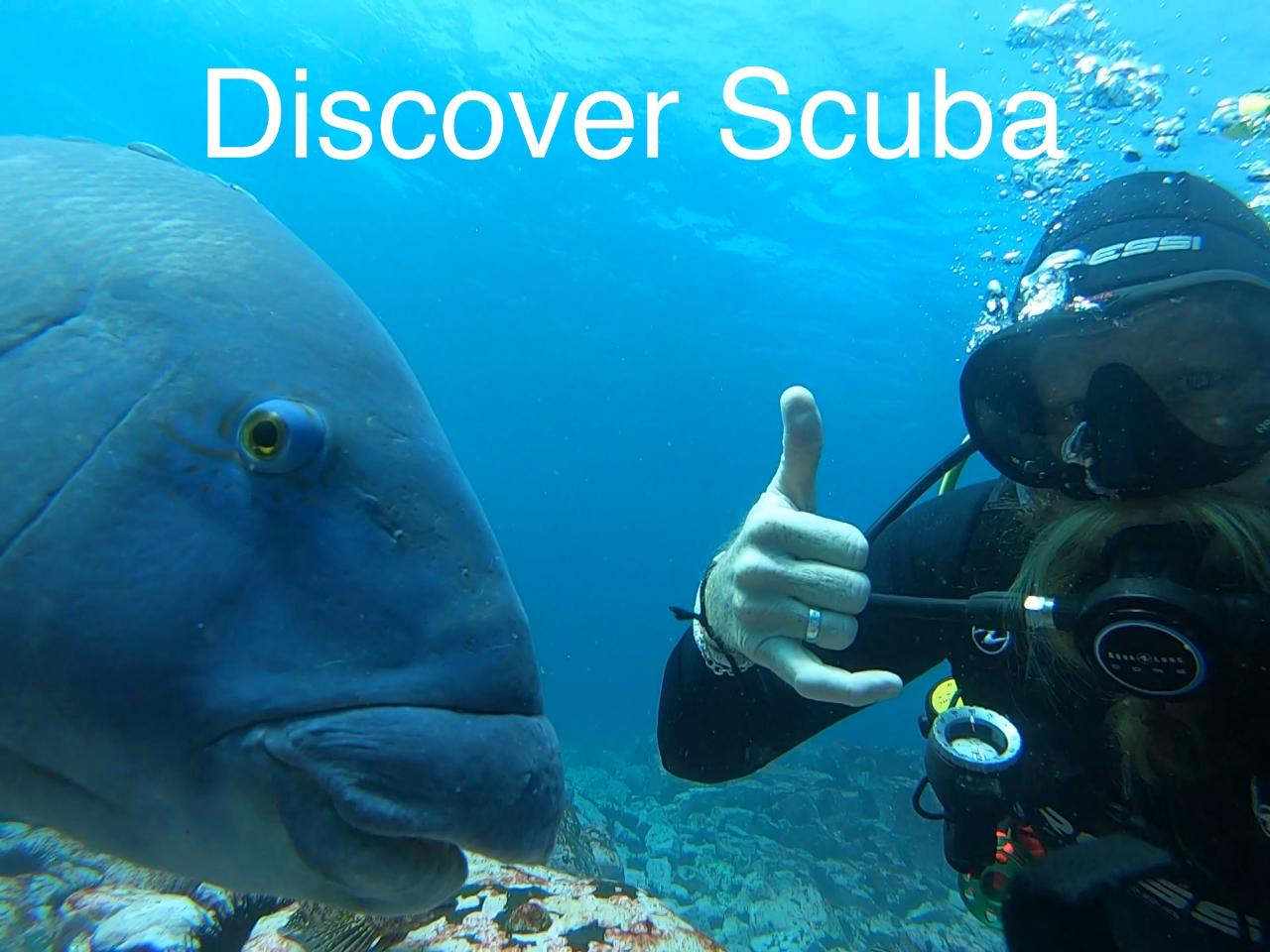 Discover Scuba Diving
