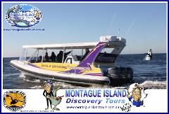 MONTAGUE ISLAND NPWS Guided Discovery Tour Seals & Whale Watching Sept & Oct