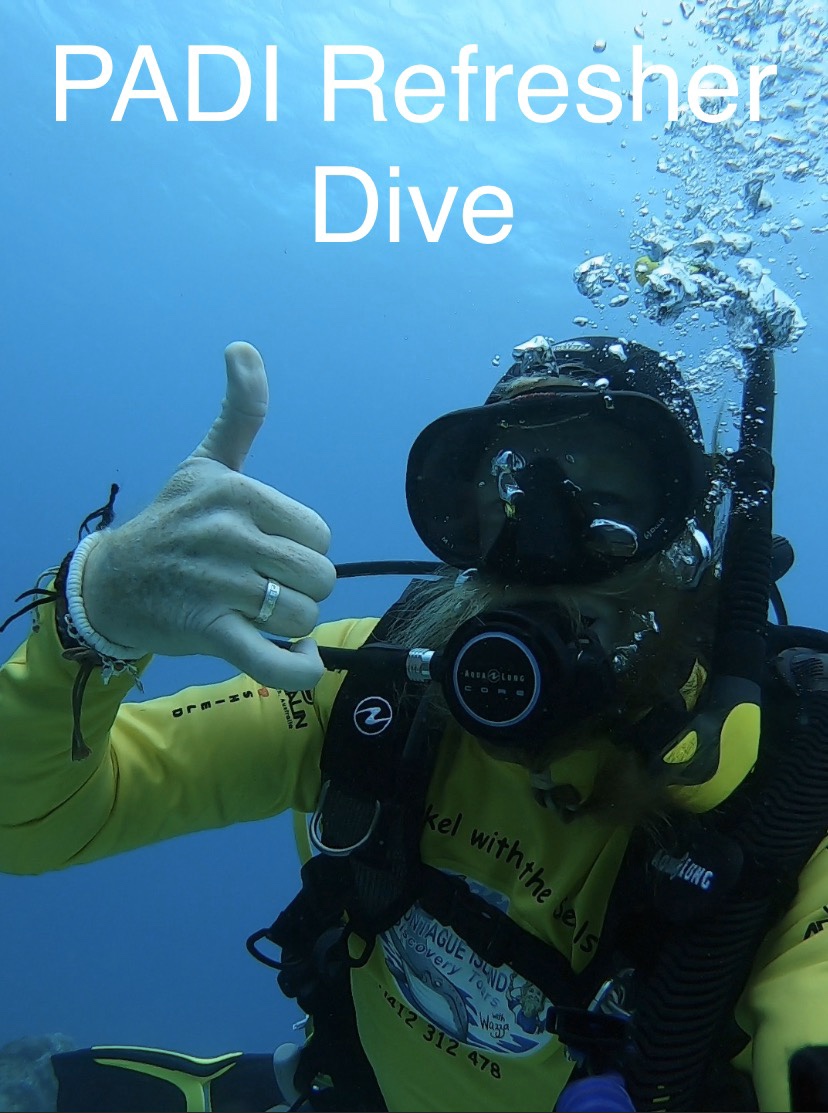Refresher Dive with a PADI Pro