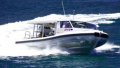  SEAL SPRINTER the fastest way to visit the seals and Montague Island **MOST POPULAR TOUR**