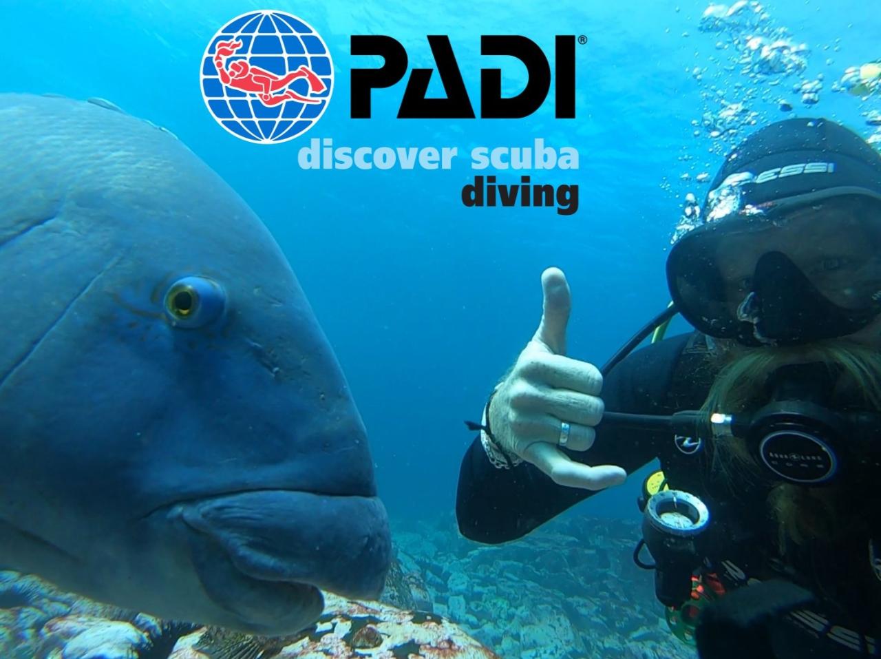 Discover Scuba Diving 