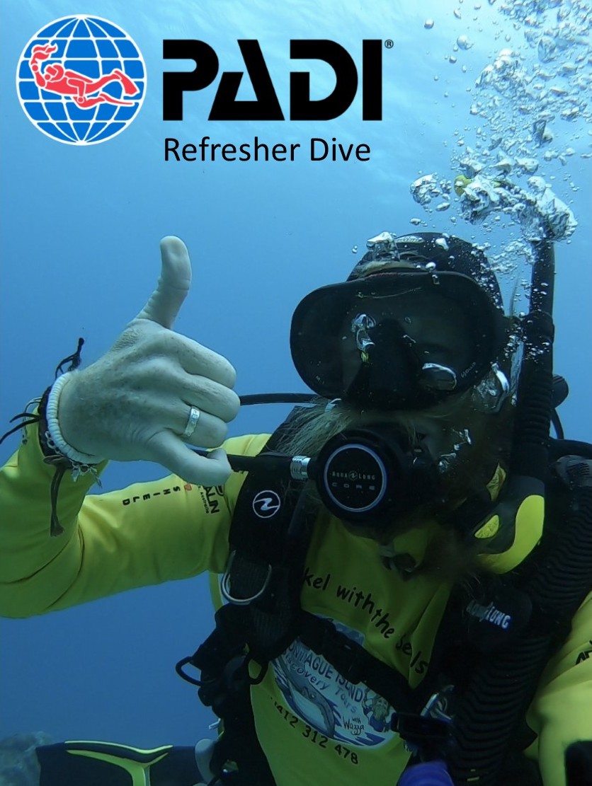 Refresher Dive with a PADI Pro