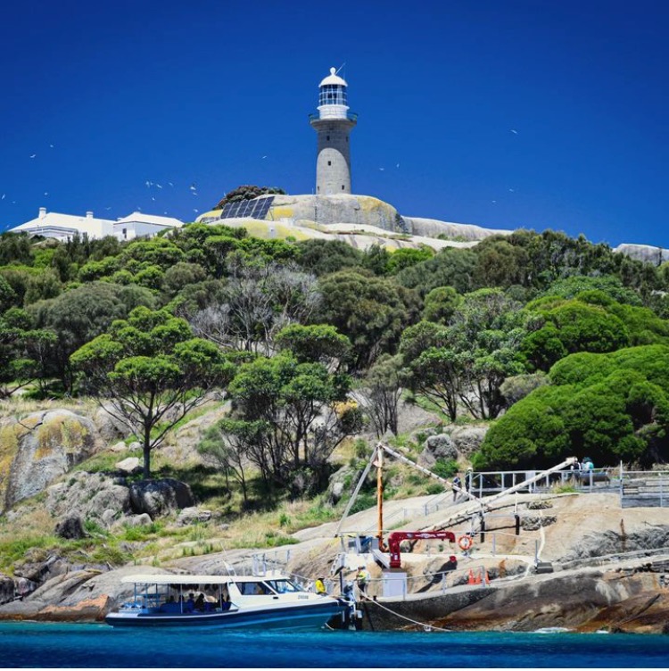 Barunguba MONTAGUE ISLAND NPWS Guided Discovery Tour Wildlife & Seals ...