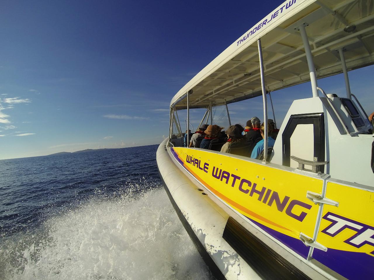 Eco 1 EXTREME Montague Island Ocean Wildlife Seal Safari **MOST POPULAR TOUR**
