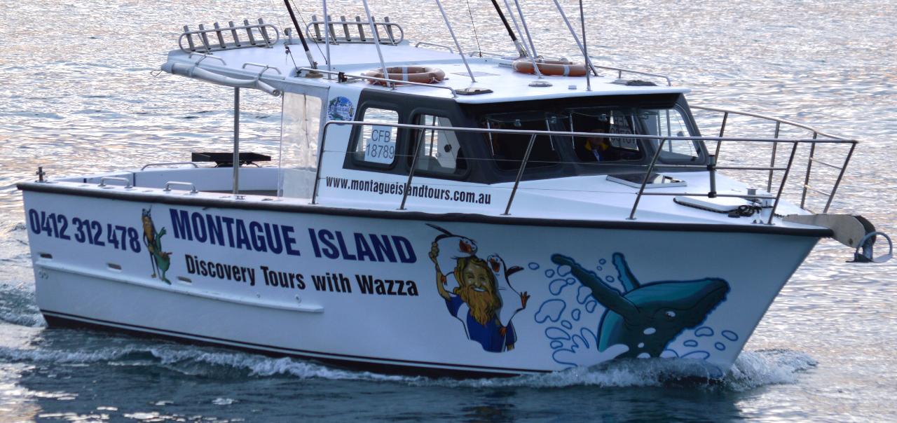 Morning Reef Fishinig & Kingfish Private Charter ( Book the Boat for yourself or a group of friends)