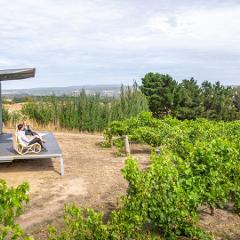 Estate Picnic - Panorama