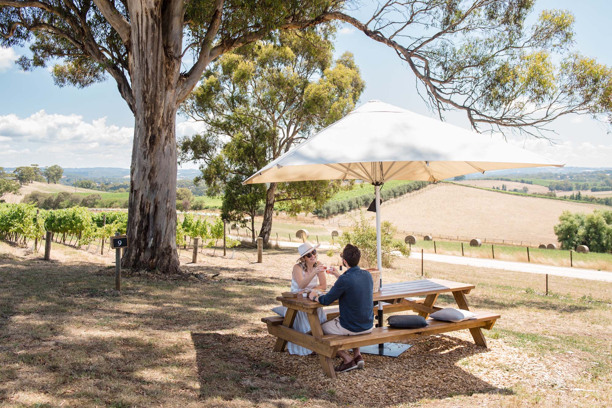 Gift Voucher 1 Estate Picnic Hamper for 2 people The Lane Vineyard