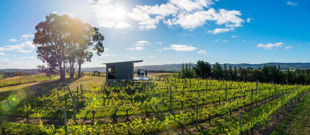 Gift Voucher - Estate Picnic Hamper at The Panorama for 2 Adults