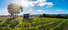 Gift Voucher - Estate Picnic Hamper at The Panorama for 2 Adults