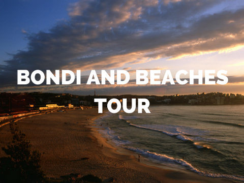 Bondi and Beaches Tour